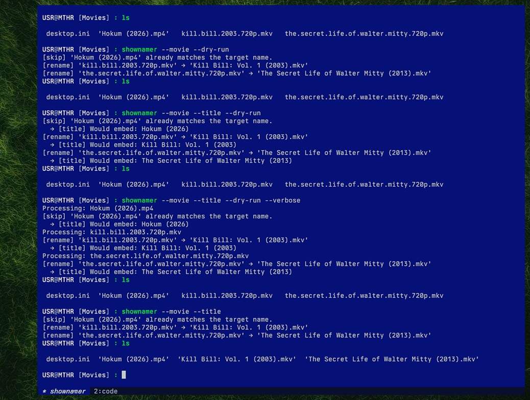 Rename Movie Files