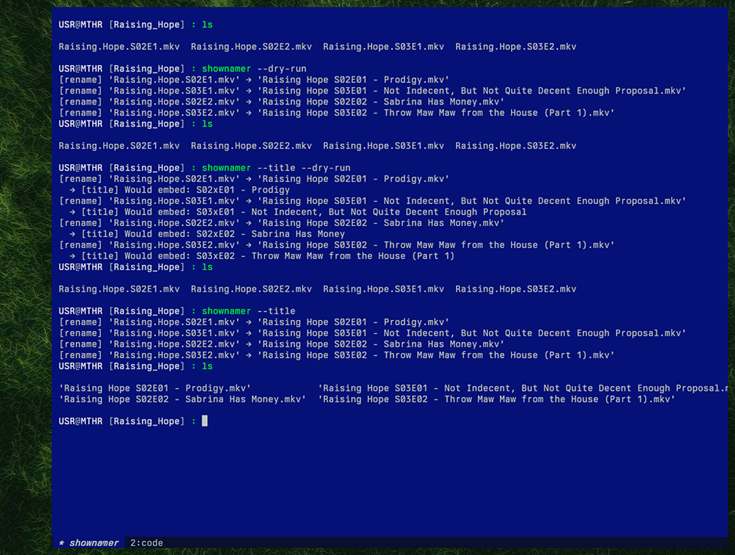 Rename TV Show Files