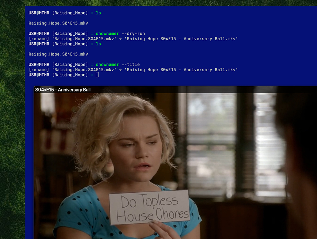 Change Title Metadata of TV Show Files